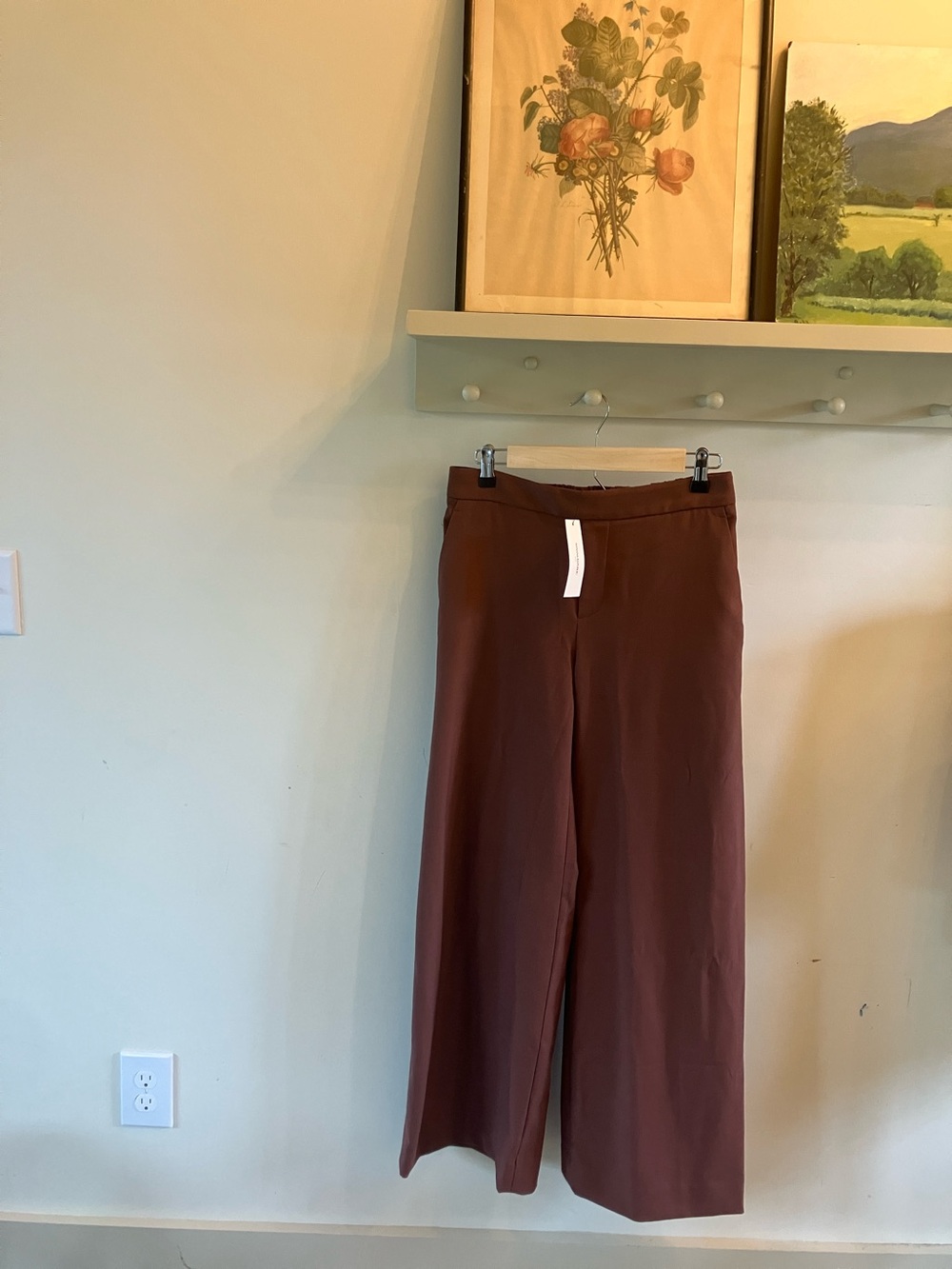 Banana Republic Wide-Leg Pants in Chestnut Brown